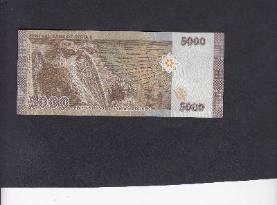 Beschrijving achterzijde: BIRD